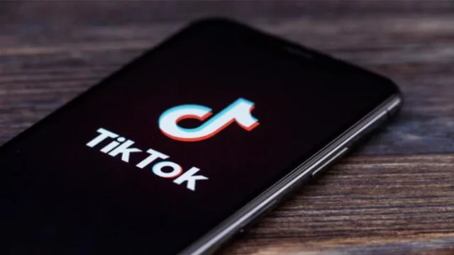 TikTok分别在哪些国家被禁止运营
